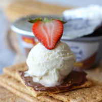Graham Cracker Milk Chocolate Ice Cream Sandwich