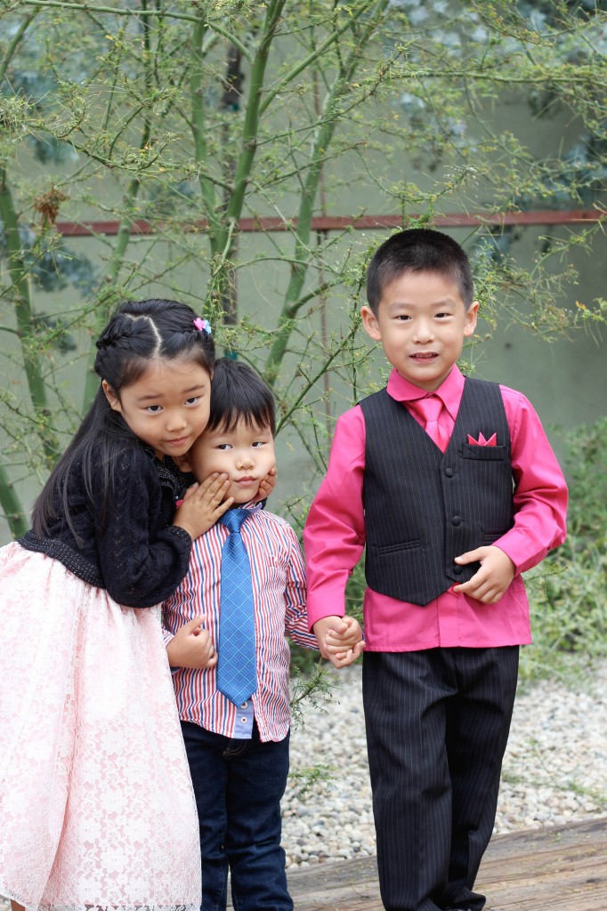 Greek Yogurt Berry Trifle - Lightened-up with Greek yogurt, these fresh berry trifles can be made in 10 minutes or less!