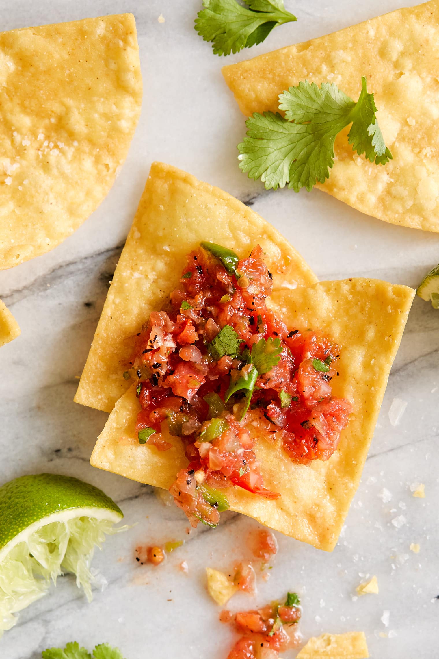 Fresh salsa on a crispy tortilla chip.