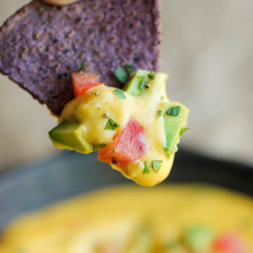 Skinny Queso Dip