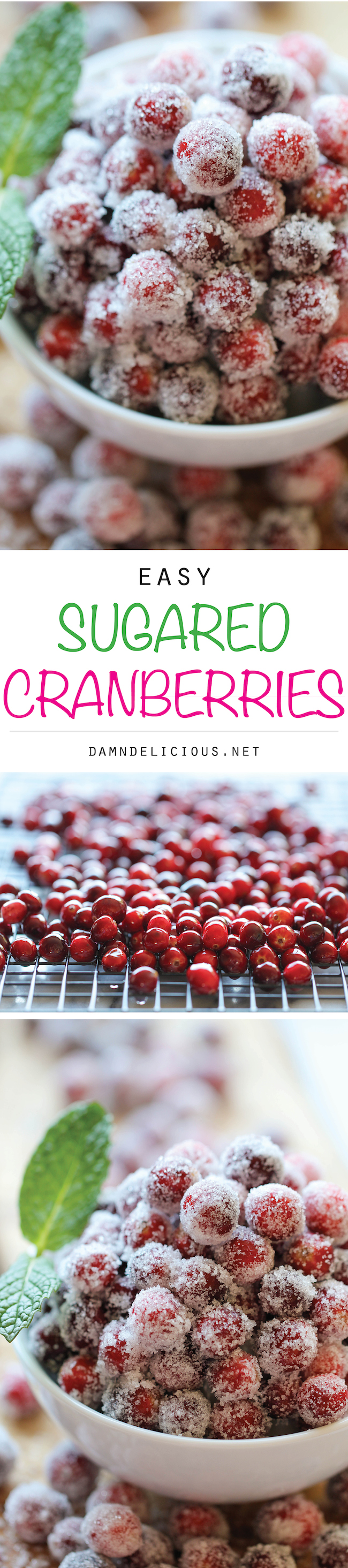 Sugared Cranberries - Incredibly simple and easy 2-ingredient sparkling cranberries. Perfect for holiday snacking or dressing up desserts!