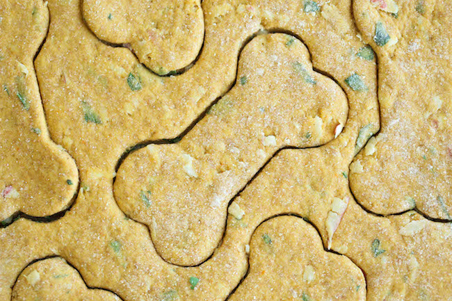 Pumpkin Apple Doggie Mint Treats - Freshen your dog's breath with these homemade dog treats. It's easy, healthy and cheap. It's a win-win!