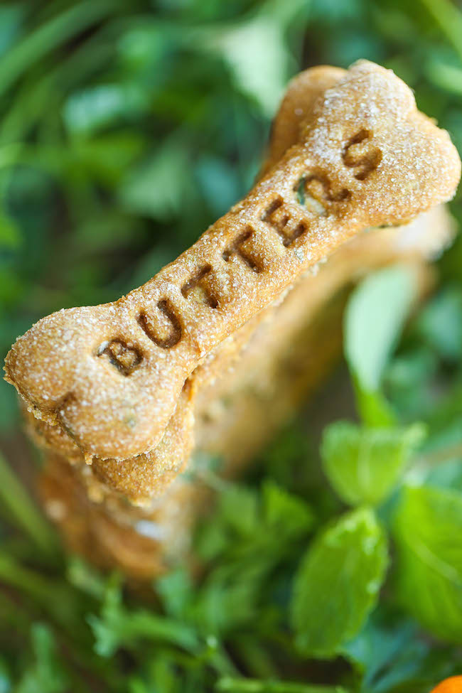 Pumpkin Apple Doggie Mint Treats - Freshen your dog's breath with these homemade dog treats. It's easy, healthy and cheap. It's a win-win!