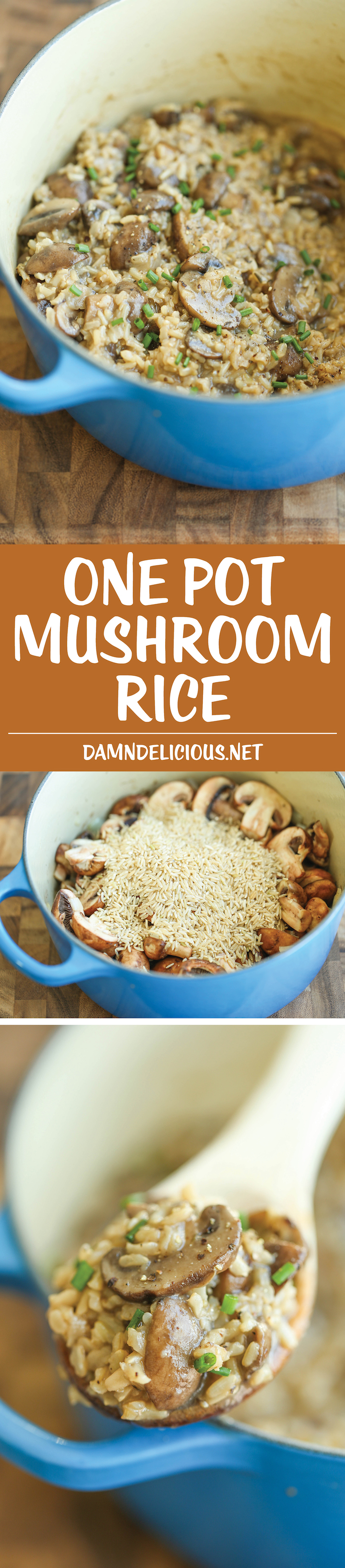 One Pot Mushroom Rice - Easy peasy mushroom rice made in one pot. Really! Even the rice gets cooked right in! It's so creamy and packed with so much flavor!