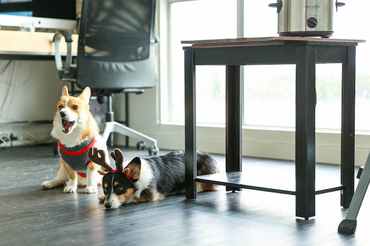 Slow Cooker Cocktail Meatballs - These are the ultimate party meatballs. Make-ahead, freezer-friendly and so effortlessly made right in the crockpot! EASY!