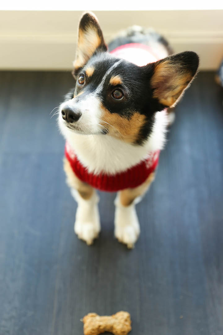 Peanut Butter Banana Dog Treats - All you need is 4 ingredients for these hypoallergenic treats! And the coconut oil makes these so HEALTHY for your pup!