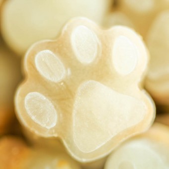 3 Ingredient Frozen Dog Treats