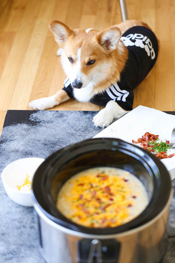 Slow Cooker Cauliflower Chowder - Simply throw everything into the crockpot, blend and top with bacon and cheese. Healthy, hearty, easy and effortless!