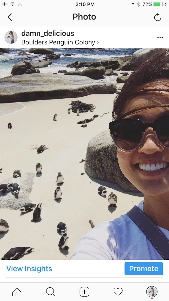 Chicken Pesto Bowls - Healthy pesto chicken bowls served with brown rice, green beans and roasted tomatoes! Easy peasy and can be prepped ahead of time!