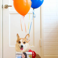 Welcome to the New Damn Delicious Website