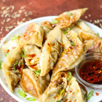 Vegetable Potstickers