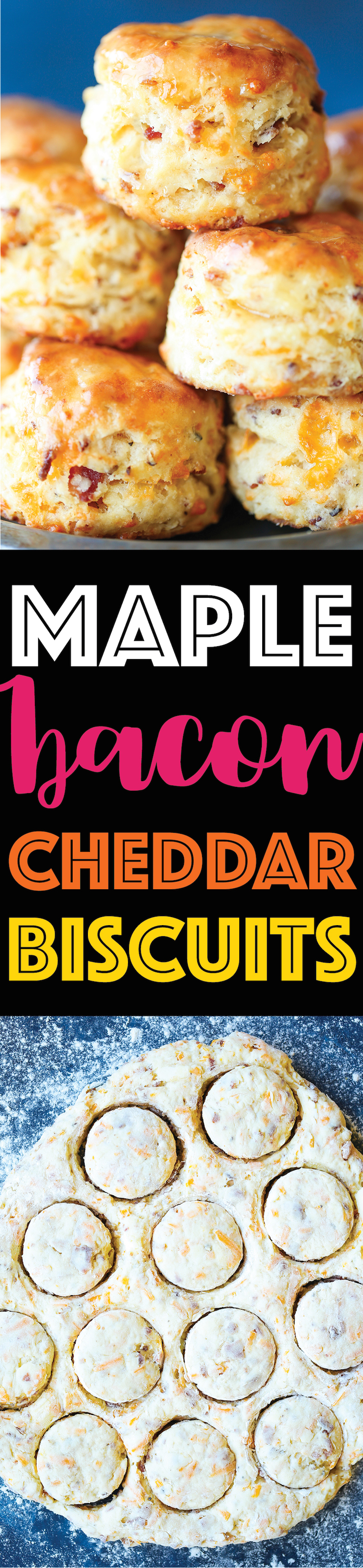 Maple Bacon Cheddar Biscuits - Soft, tender, oh-so-flaky biscuits the whole family will love! With crisp bacon and maple syrup, what could be better, right?