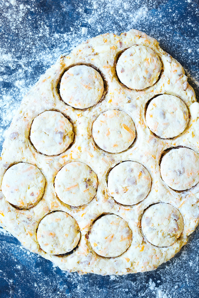 Maple Bacon Cheddar Biscuits - Soft, tender, oh-so-flaky biscuits the whole family will love! With crisp bacon and maple syrup, what could be better, right?